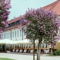 Außenansicht Schlosshotel Pillnitz Header Hero