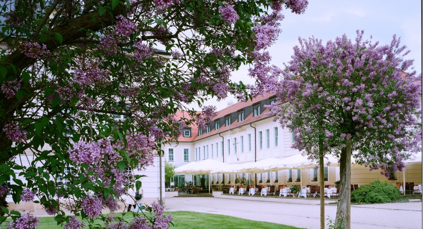 Außensicht Schlosshotel Pillnitz Slider Bild 1 groß