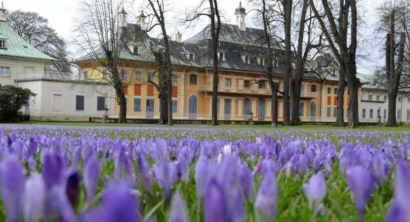 Frühlingsbild Schlosshotel Pillnitz